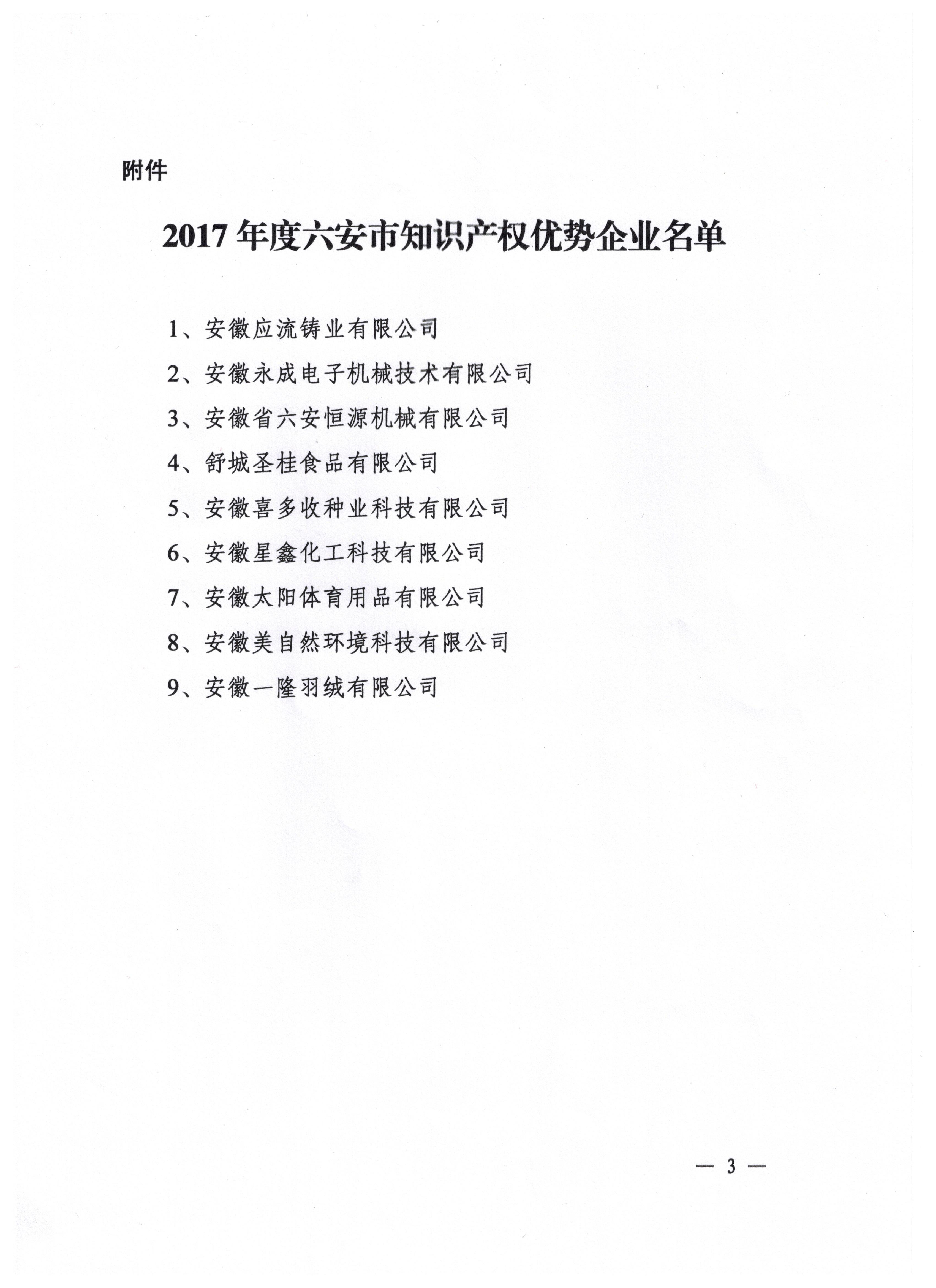 2017年度六安市知识产权优势企业2
