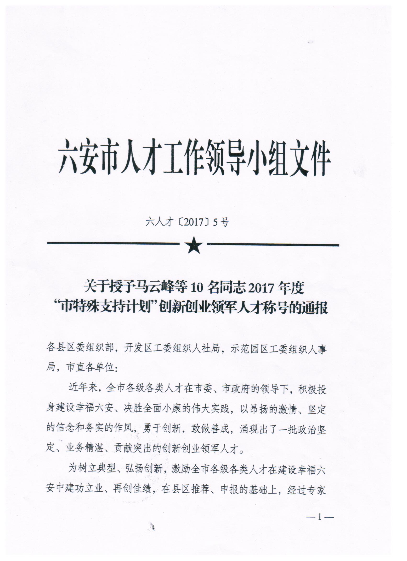 2017年度市特支计划文件001