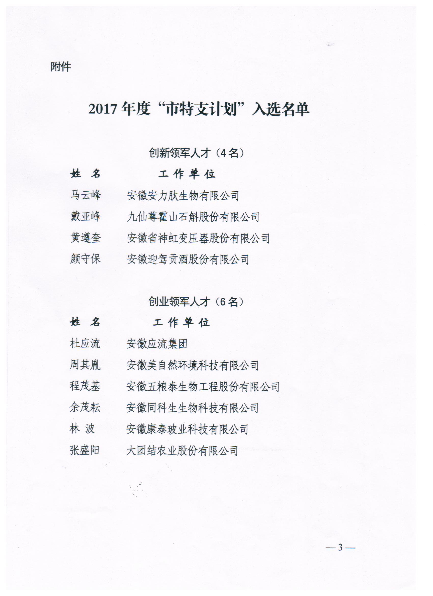 2017年度市特支计划文件004