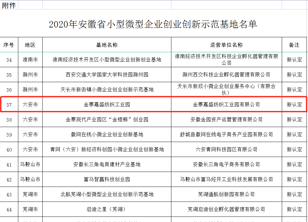 嘉盛-安徽省小微企业创新创业示范基地1