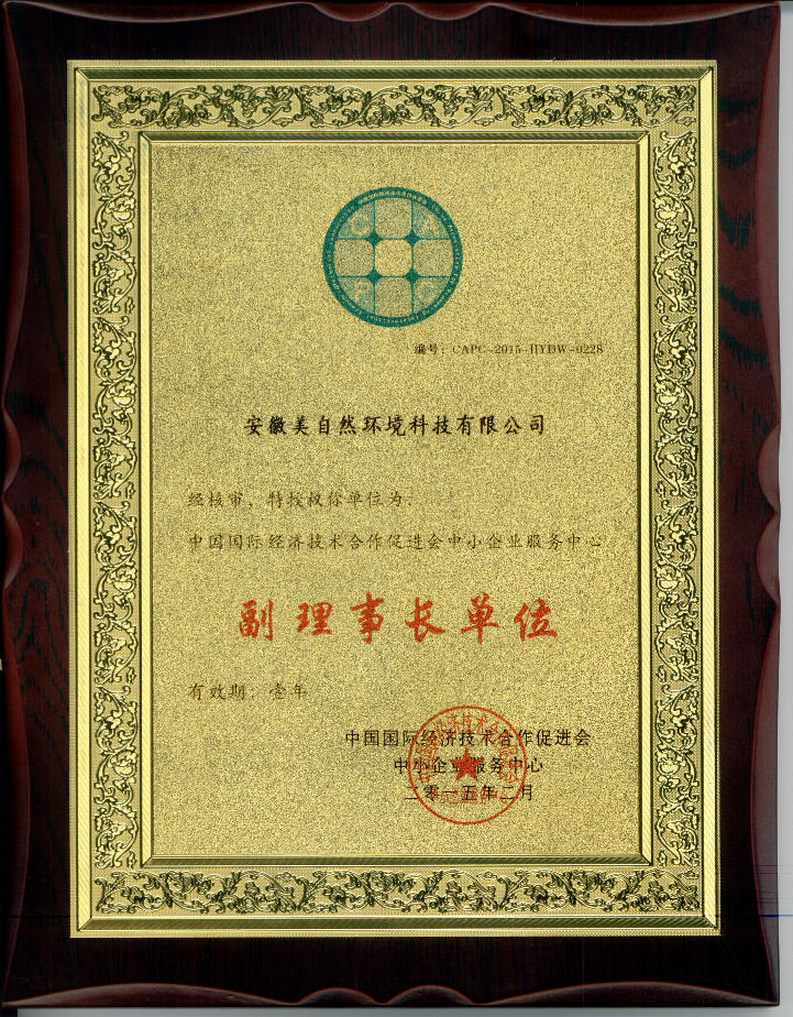 荣誉证书副理事长单位